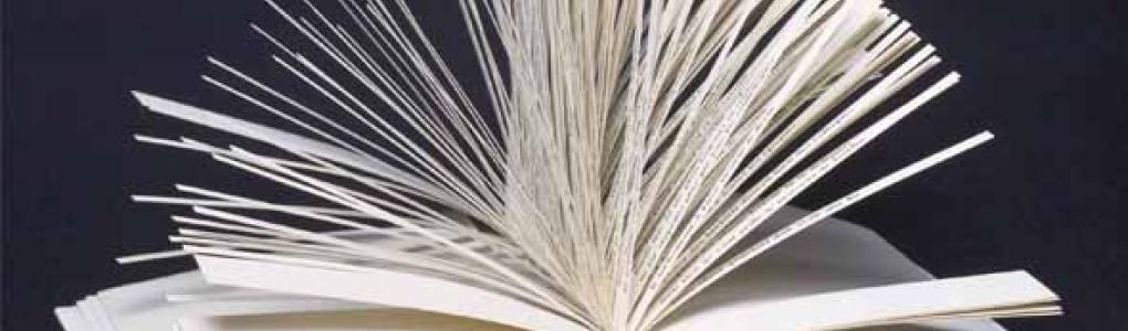 Raymond Queneau's cent mille millards de poèmes