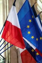 French flags