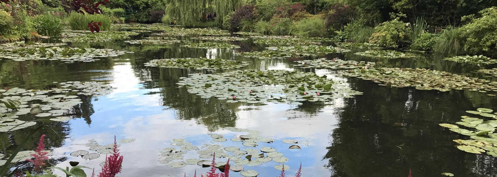 Pond